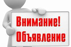 Ёлки!